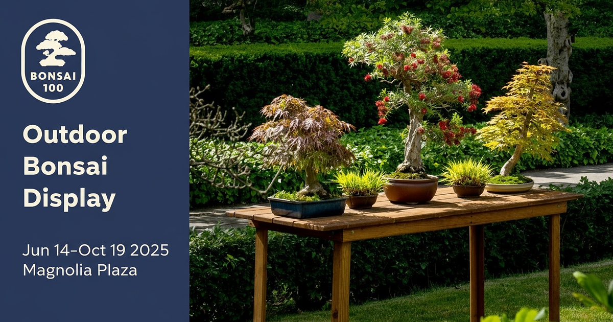 Outdoor Bonsai Display event